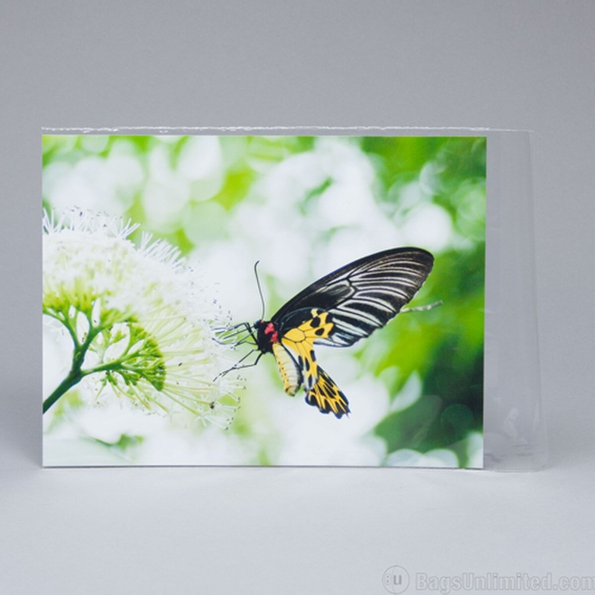 9 x 12 Print Sleeve